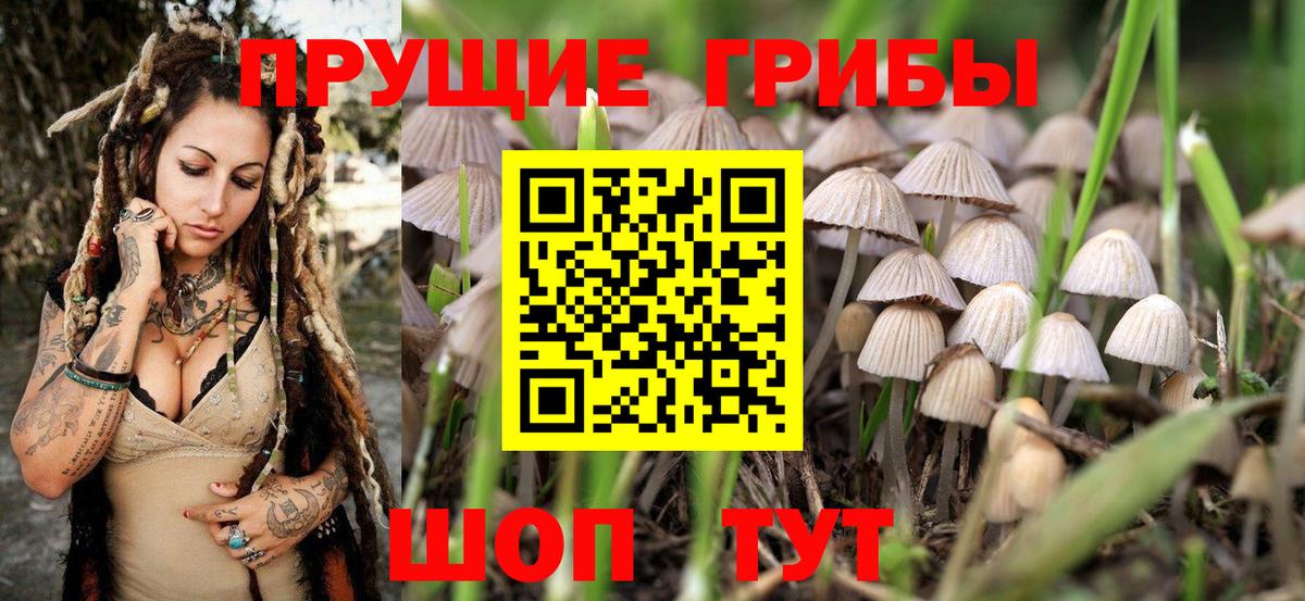 Галлюциногенные грибы прущие грибы Новый Уренгой