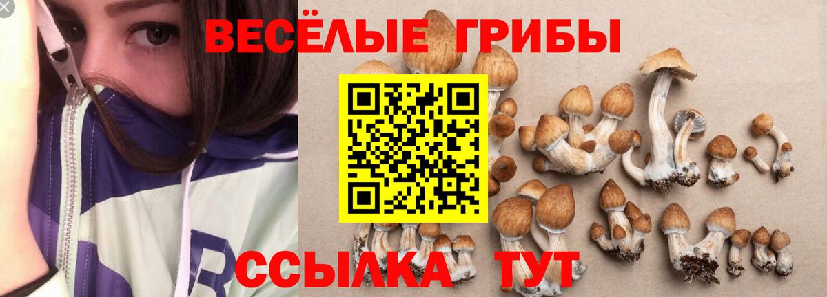 Псилоцибиновые грибы Magic Shrooms  Вход с VPN  Новый Уренгой 
